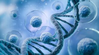 Somite AI Secures $47M to Power Cell Therapy with AI