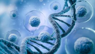 Somite AI Secures $47M to Power Cell Therapy with AI